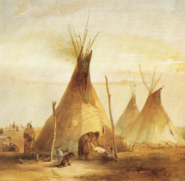 Tipi