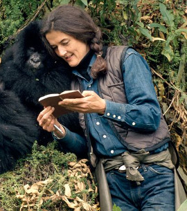 Dian Fossey